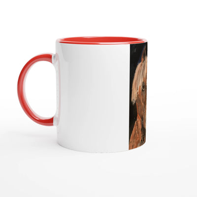 174f1a71-e989-425c-870e-e85e9f3bf9ea