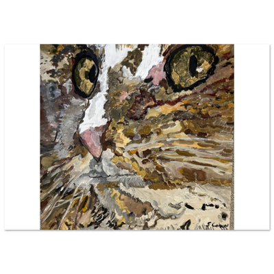 c5c427d7-04a4-49a6-afcf-8224c017feed