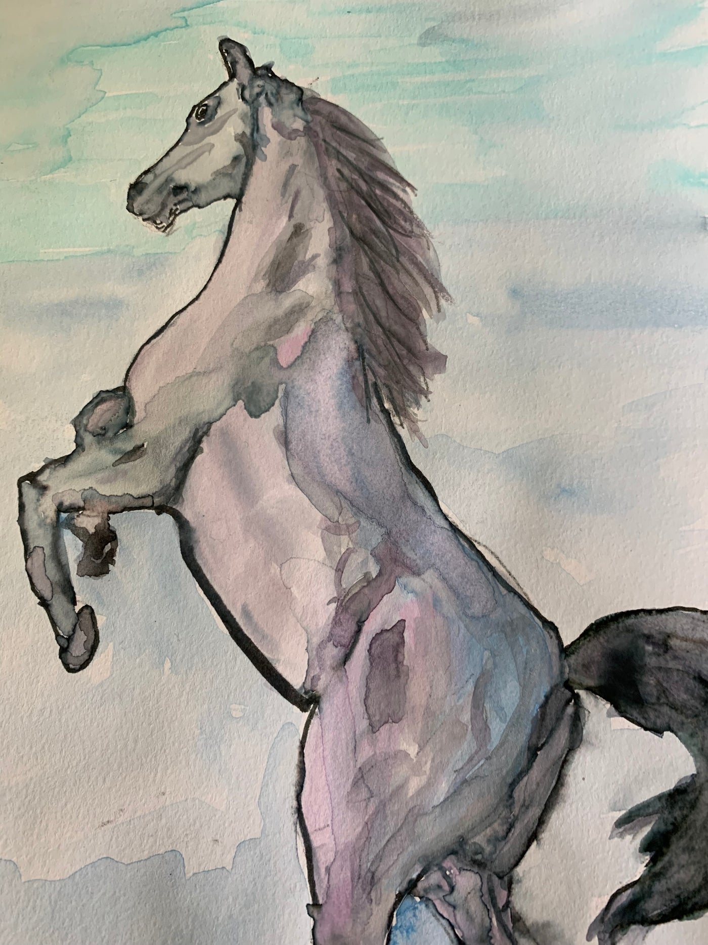 Silver Horse